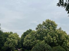 -西安汉城湖景区