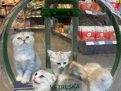 -萌兽医馆·眼科·异宠专科(三里屯店)