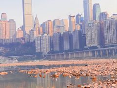 -重庆市江北嘴中央商务区中央公园