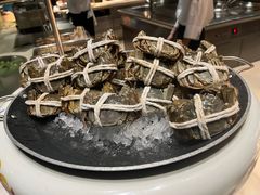 -广州白云国际机场-T2航站楼