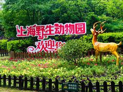 -上海野生动物园
