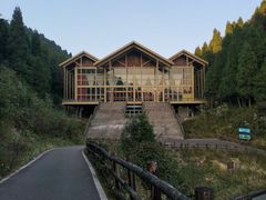 -武陵山森林公园
