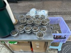 -胖子鱼·油泼甘谷辣子炝活鱼(秦州407店)