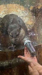 -Zoolung Zoolung动物主题公园(海信广场店)