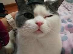 -麦当劳(南京水西门大街店)