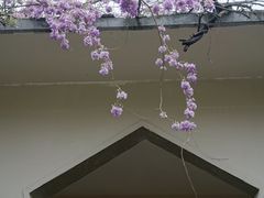 -郑和公园
