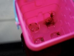 -烟台金沙滩喜来登度假酒店