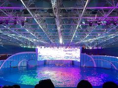 -海合安青岛极地海洋公园