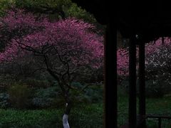 -钱王祠
