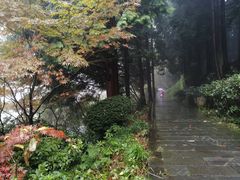 -四明山国家森林公园