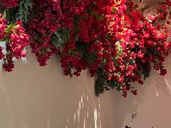 -花开餐厅(环湖中路店)