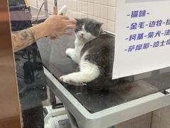 -FAELING PETS美天灵宠物(富力广场店)