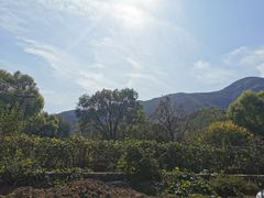 -双新垂钓园