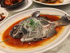 -大东海海鲜酒楼(渔人码头总店)