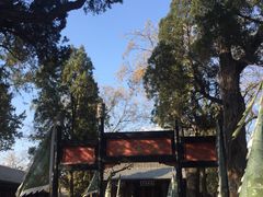 -保定直隶总督署博物馆