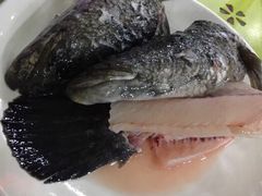 -活鱼馆(宜兴埠店)