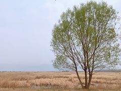 -野鸭湖国家湿地公园