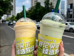 -茉酸奶(春熙路店)