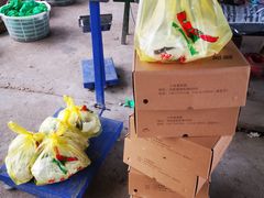 -马陆小张葡萄园农家乐