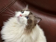 -拜鲁耶动物诊疗中心·宠家动物医院