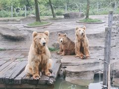 -常州淹城野生动物世界