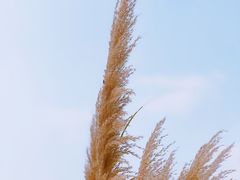 -西北湖绿化广场