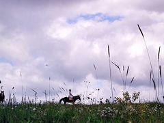 -塞罕坝国家级自然保护区