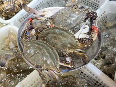 -金沙滩海鲜餐厅·海肠捞饭·手工水饺(梅江龙水园店)