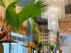 -君悦酒店·La Terrazza意合園·意式风味