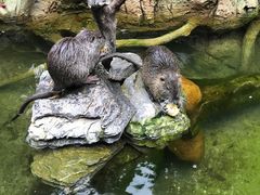 -广州长隆野生动物世界