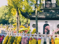 -汇龙潭