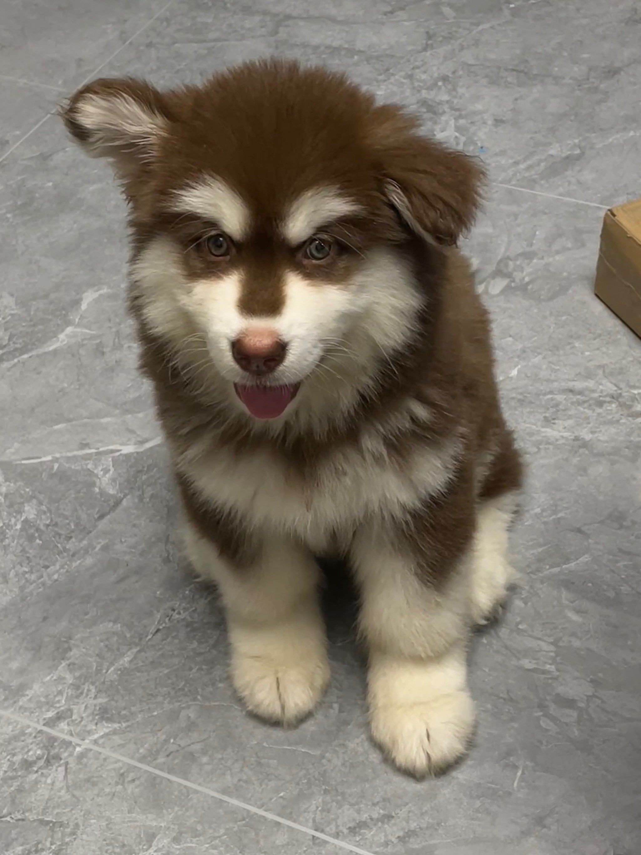 政策-米哈希娱乐- 哈希游戏平台- 哈希游戏官方网站内网