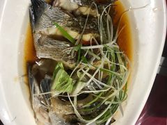 -罗源湾8号渔排