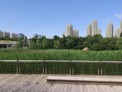 -群力丁香公园