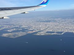 -全日本空输株式会社(上海办事处)