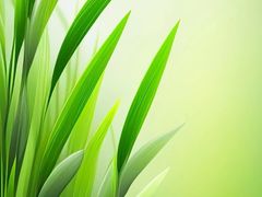 -徐记海鲜(曲江南湖店)