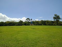 -吴淞炮台湾湿地森林公园烧烤区