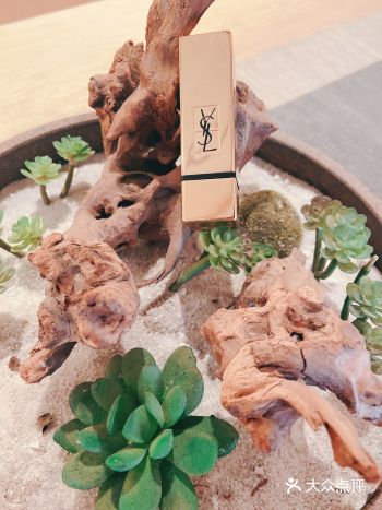 最爱的大牌美妆——YSL方管52号