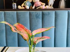 -后海16号·北京私房菜