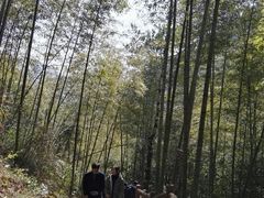 -溪口-滕头旅游景区