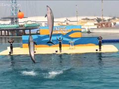 -秦皇岛乐岛海洋王国