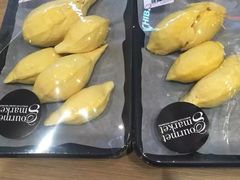 -暹罗海洋世界