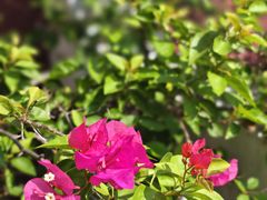-杭州香格里拉·香宫中餐厅