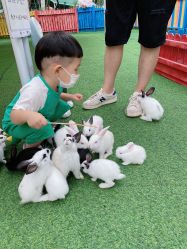 -萌宠亲子动物乐园(槐房万达店)