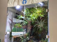 -小意思咖啡店(草桥店)