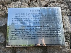 -白水寺森林公园