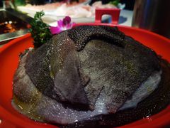 -二荆条·蜀鲜汇城市森林火锅