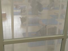 -艺彩童馨舞蹈培训学校(西湖道校区)