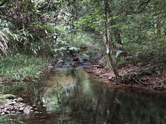 -海南热带雨林国家公园吊罗山景区
