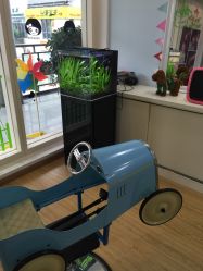 -星童star.kids儿童发型设计·满月胎发(玉兰花园店)